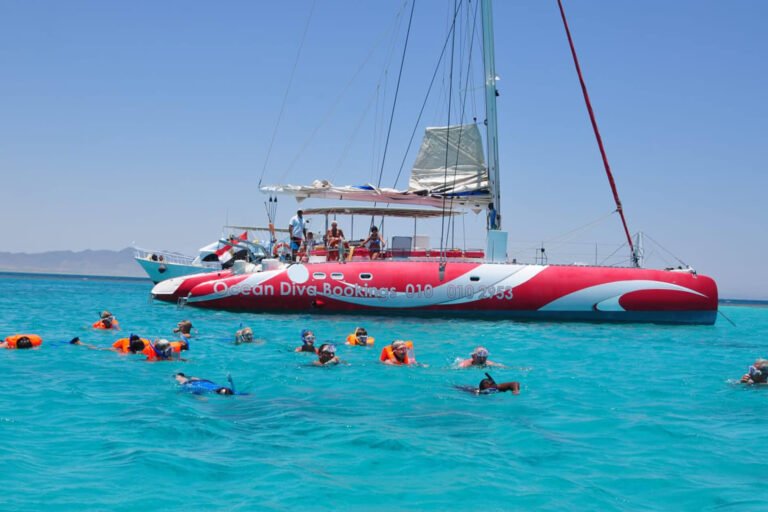 Ocean Diva Catamaran